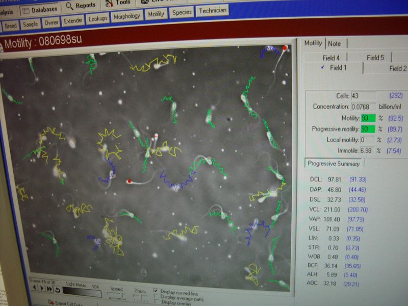 20112012_10cembryoteh016.jpg