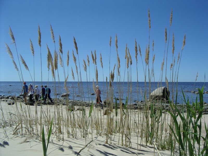 20102011botaanika_Kabli015.jpg