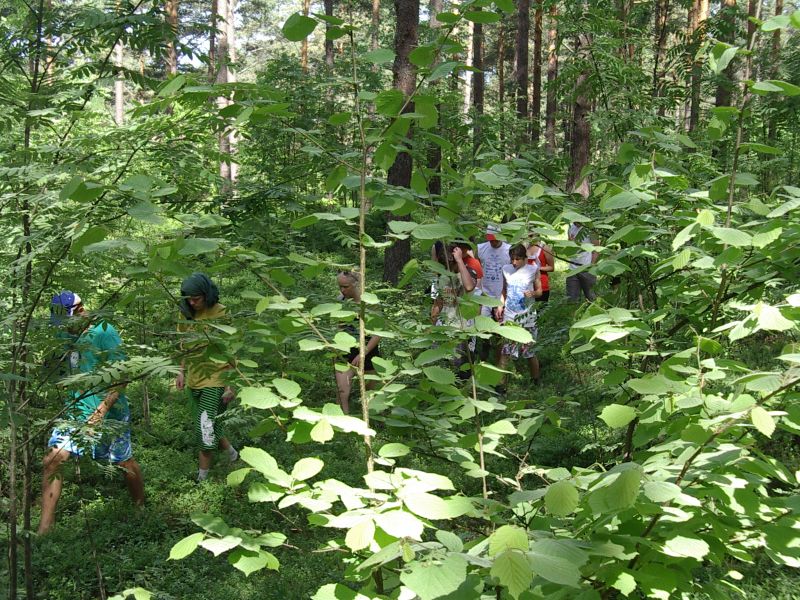 20102011botaanika_Kabli018.jpg
