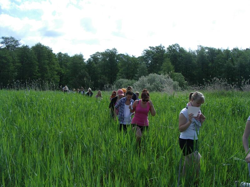 20102011botaanika_Kabli021.jpg
