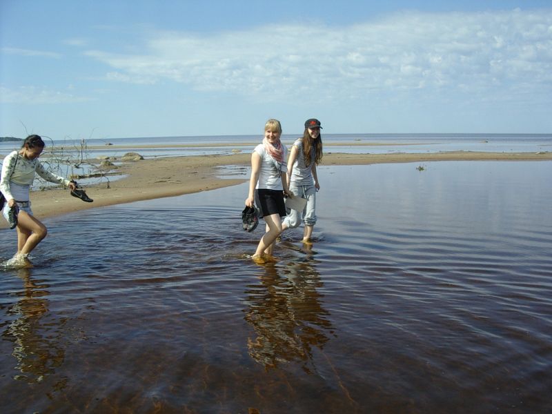 20102011botaanika_Kabli023.jpg