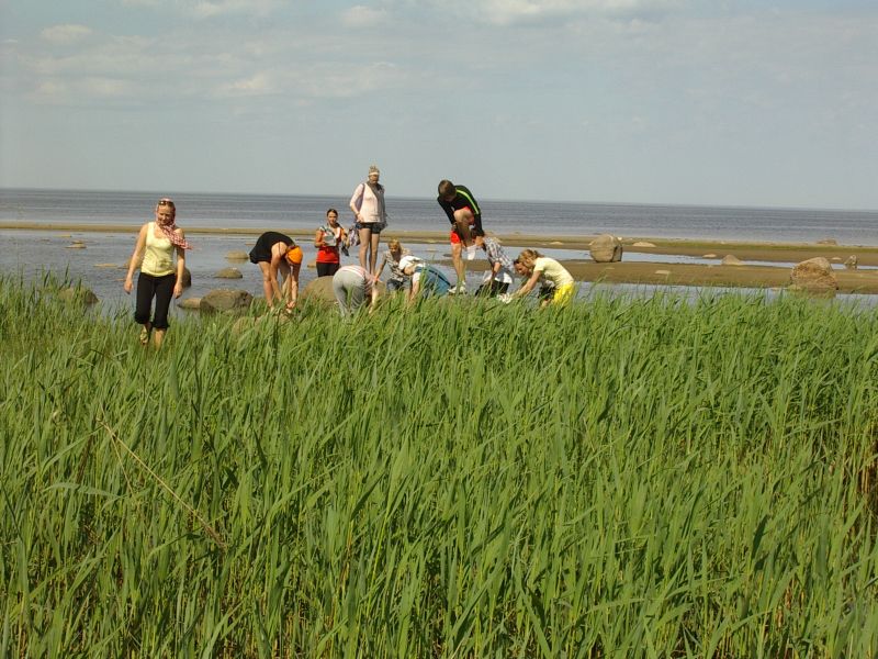 20102011botaanika_Kabli026.jpg