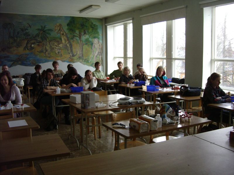 20102011kreemidTTY001.jpg