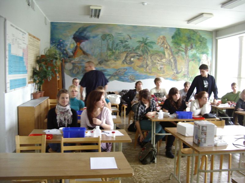 20102011kreemidTTY002.jpg