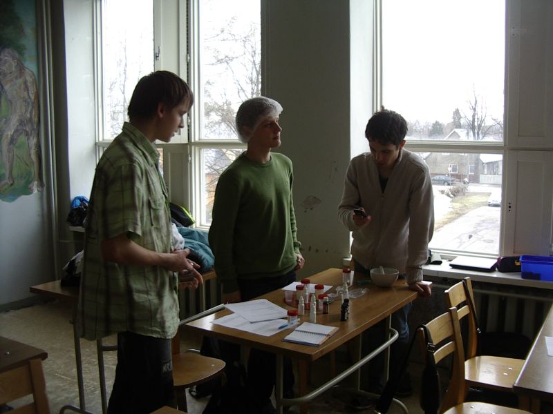 20102011kreemidTTY004.jpg