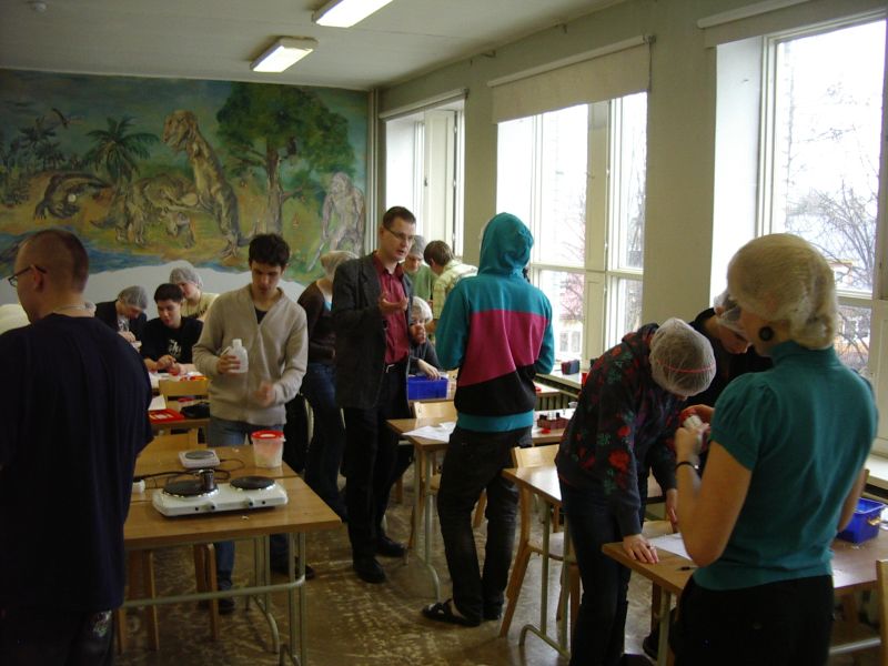 20102011kreemidTTY017.jpg