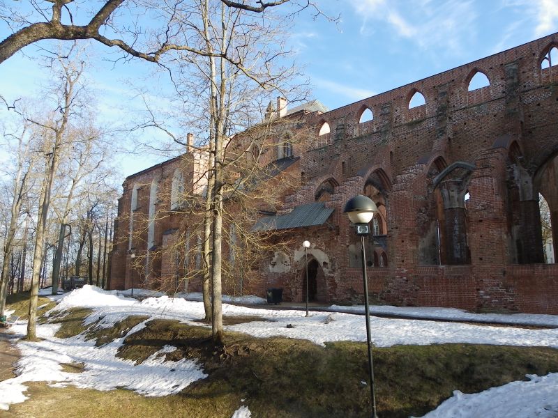 IMGP3915.JPG