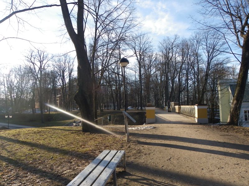 IMGP3931.JPG