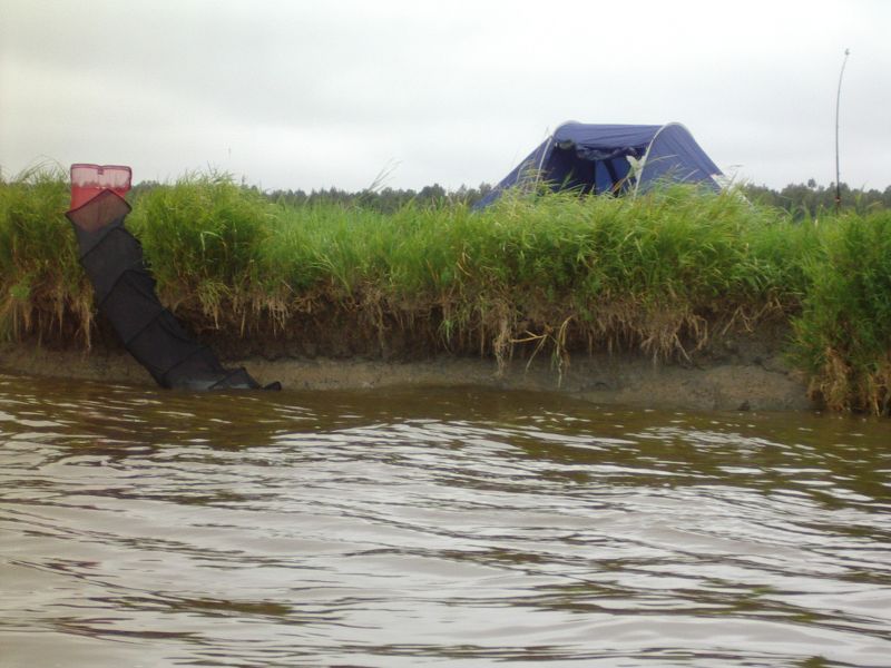 2011_12okoloog008.jpg
