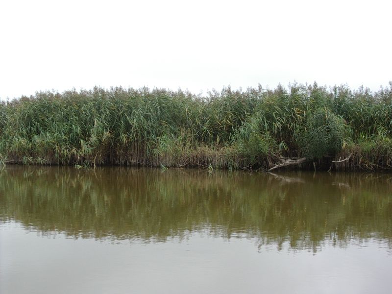 2011_12okoloog013.jpg