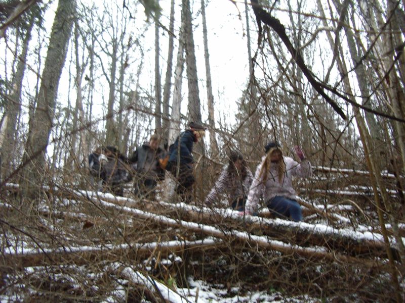 20112012pungaprakt10b009.jpg