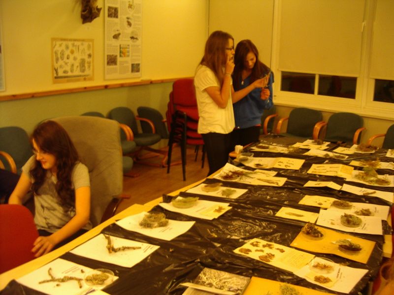 20112012pungaprakt10b011.jpg