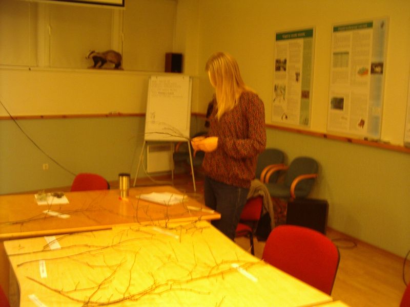 20112012pungaprakt10b012.jpg