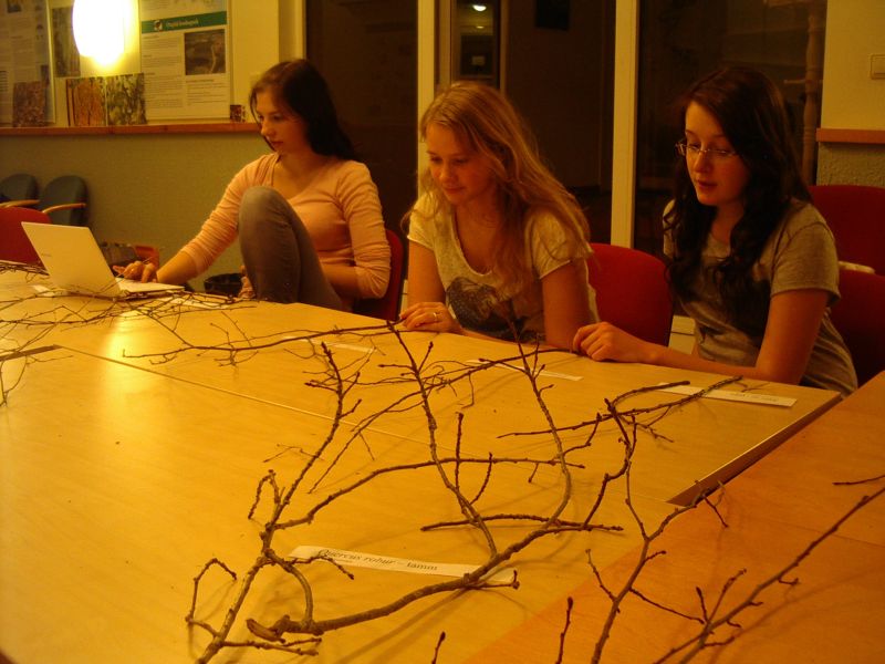 20112012pungaprakt10b015.jpg
