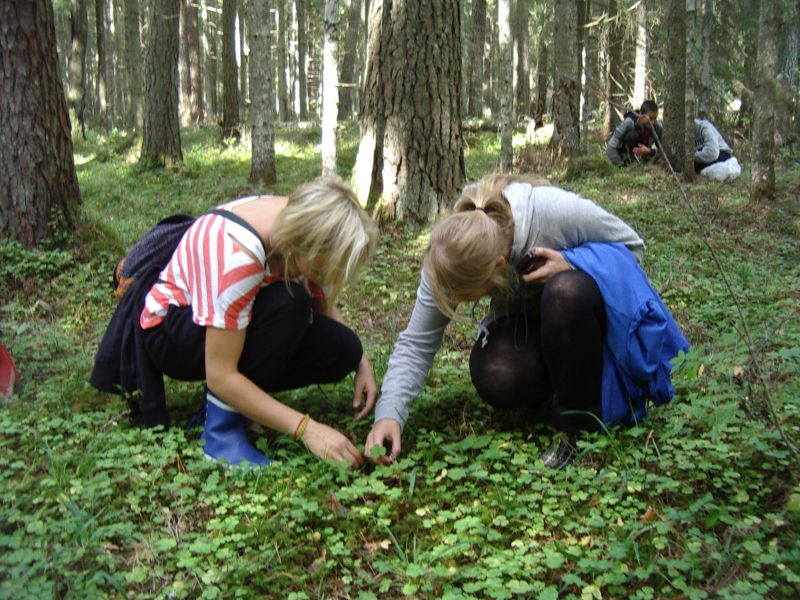 2011_10bseeneprakt001.jpg
