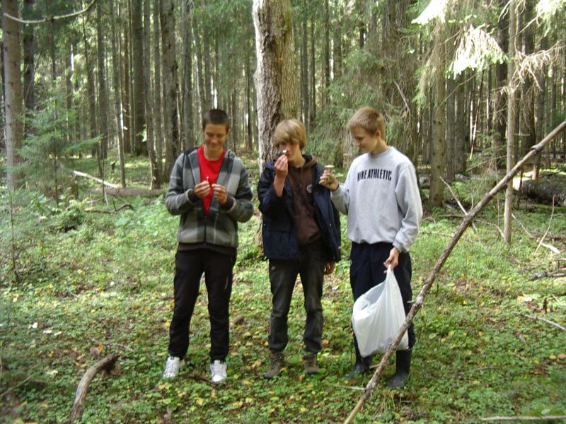 2011_10bseeneprakt003.jpg