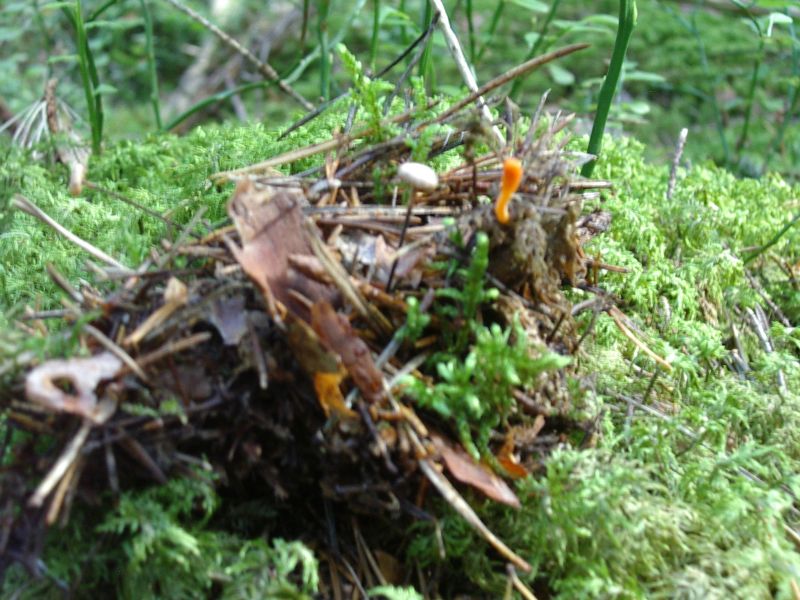 2011_10bseeneprakt005.jpg
