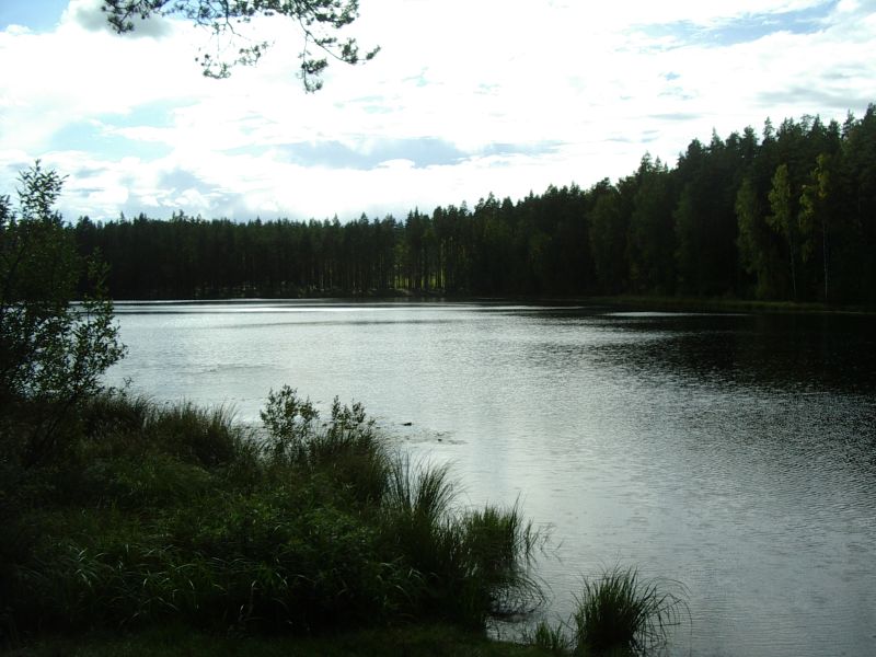 2011_10bseeneprakt009.jpg