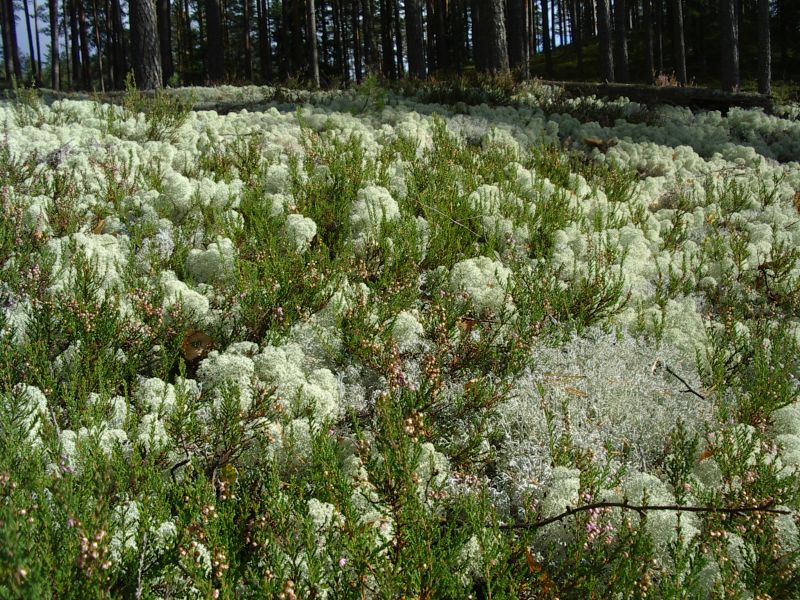 2011_10bseeneprakt013.jpg