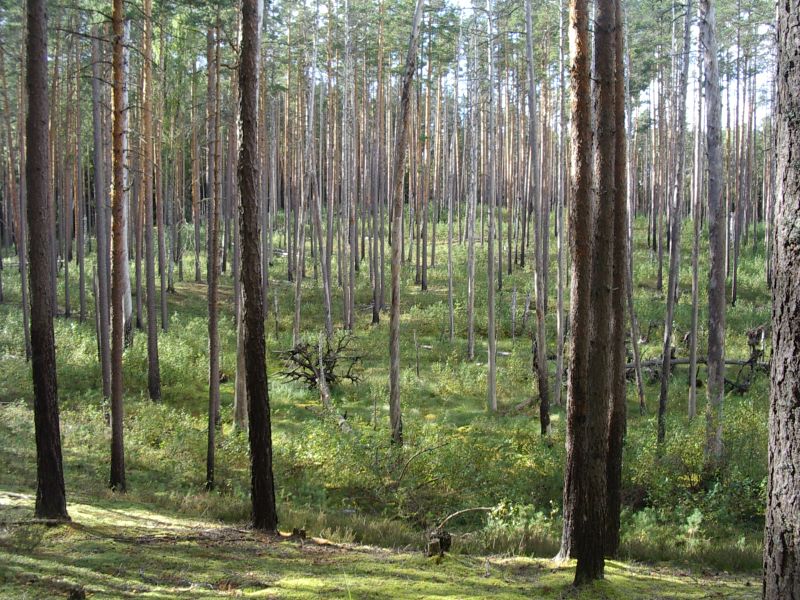 2011_10bseeneprakt014.jpg