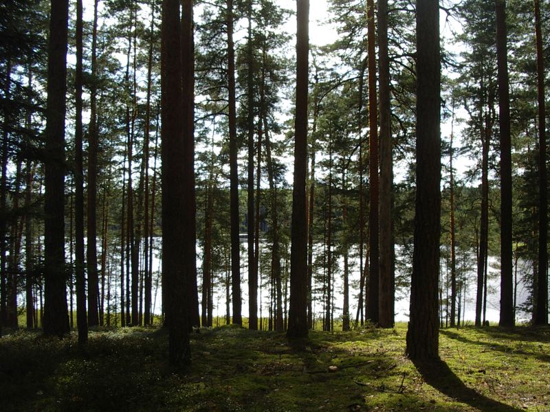 2011_10bseeneprakt015.jpg