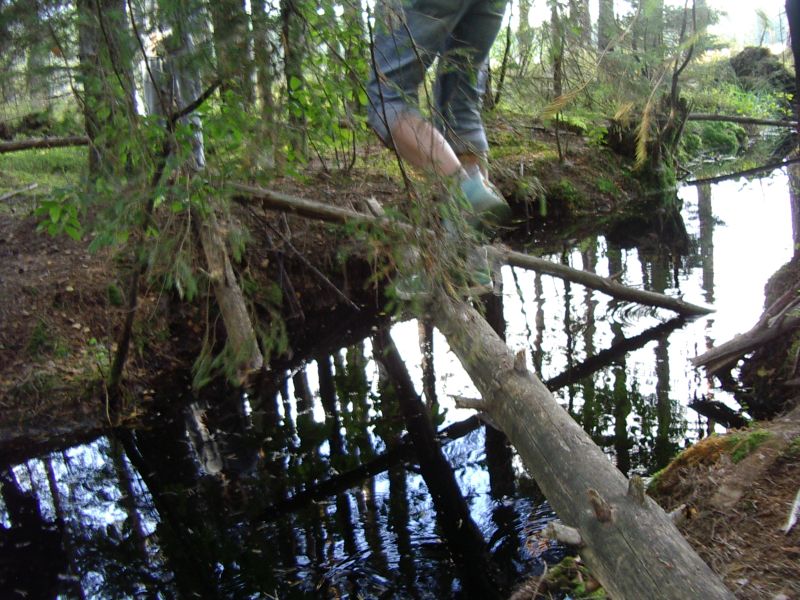 2011_10bseeneprakt018.jpg