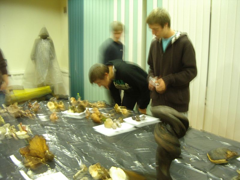 2011_10bseeneprakt020.jpg
