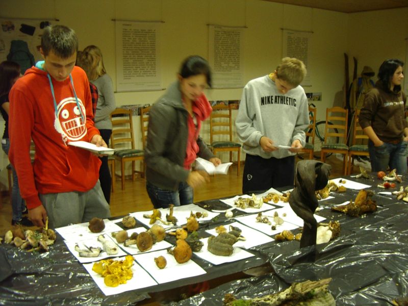 2011_10bseeneprakt021.jpg