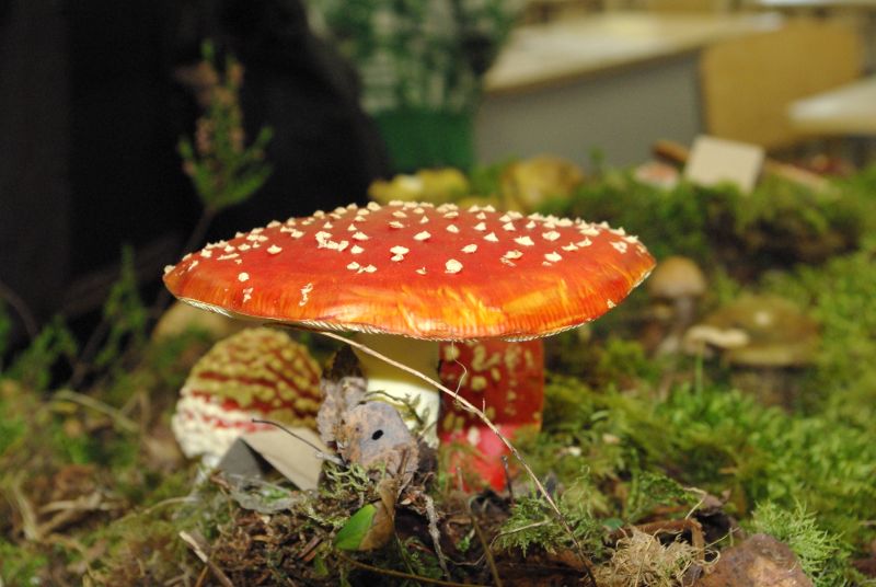 23sept2011_0042.JPG