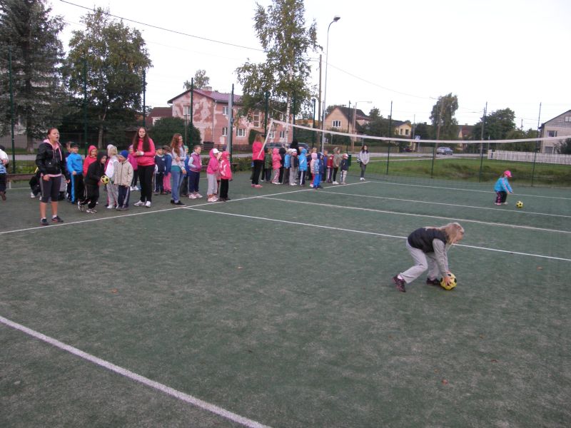 5-9095587.jpg