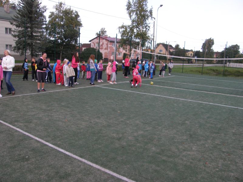 5-9095588.jpg