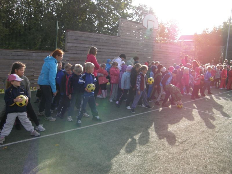 5-9095601.jpg