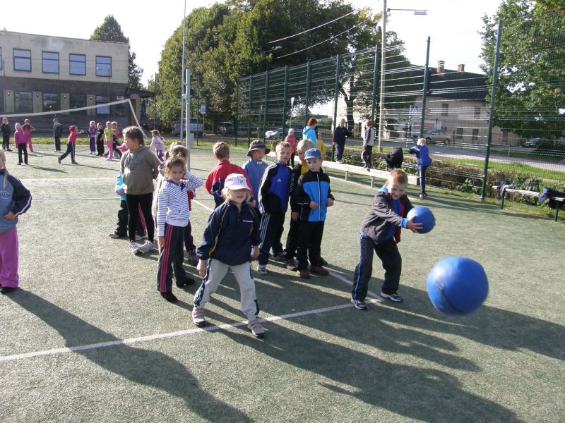 5-9095606.jpg