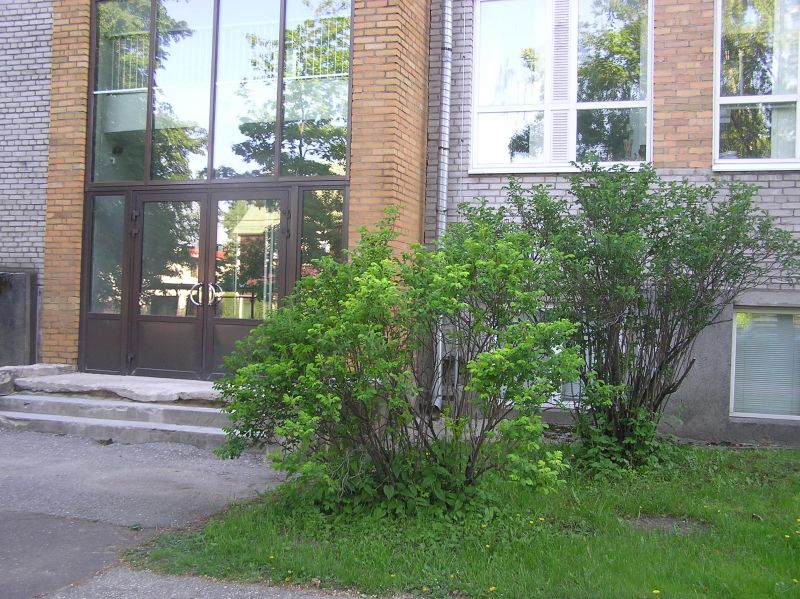 ymbrus-1018.jpg