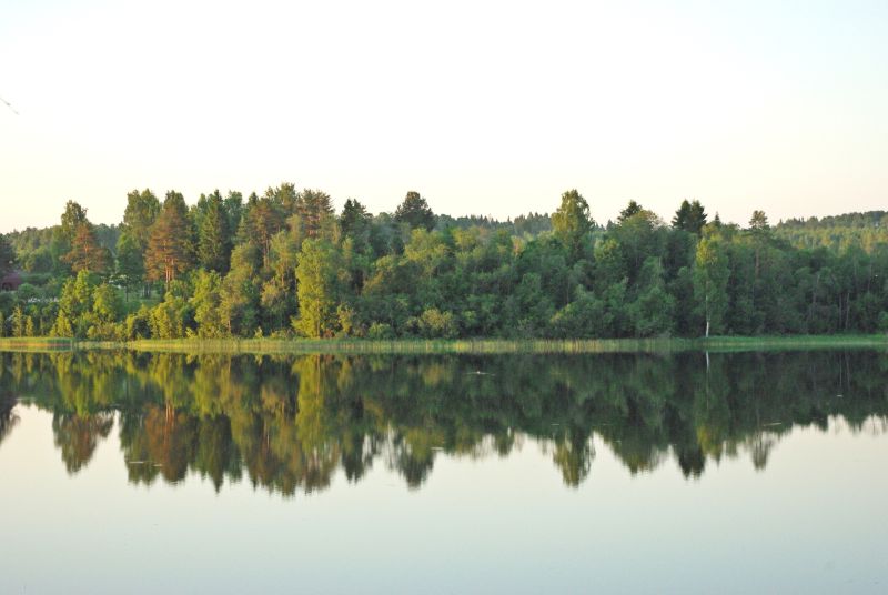 2011zooloog004.jpg