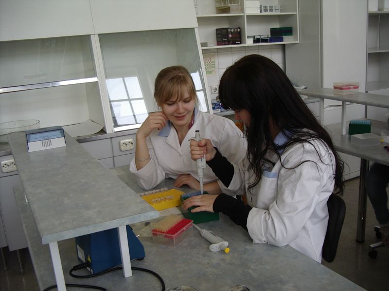 11b_bioteh20112012TY003.jpg