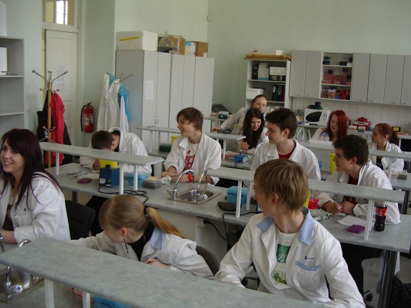 11b_bioteh20112012TY010.jpg