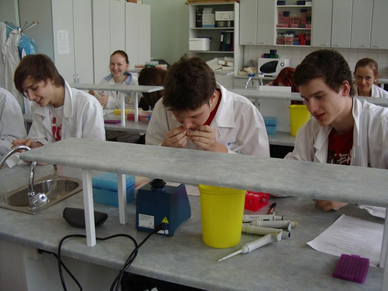 11b_bioteh20112012TY011.jpg