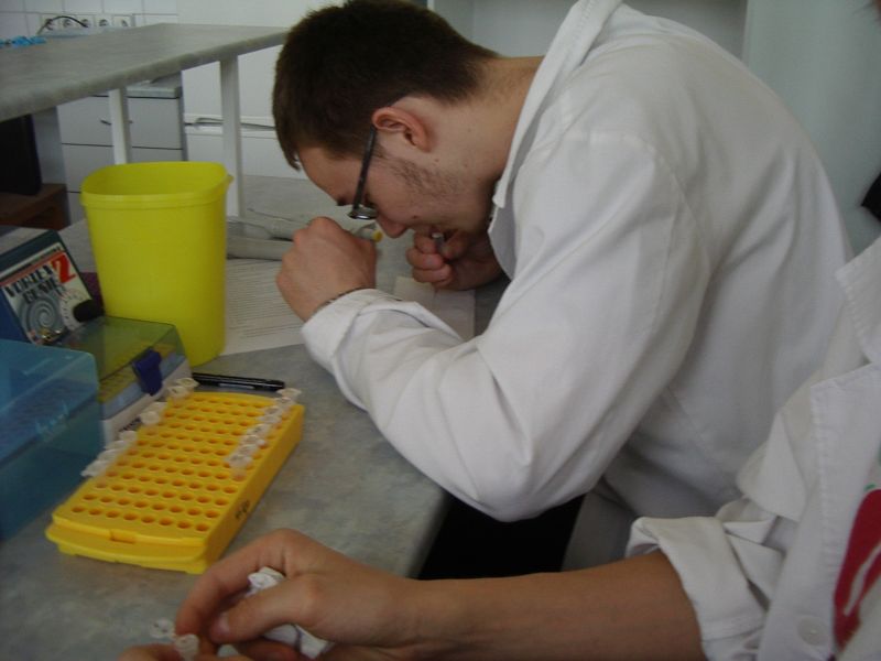 11b_bioteh20112012TY016.jpg