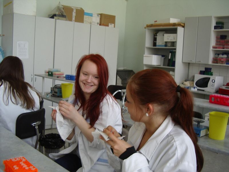 11b_bioteh20112012TY017.jpg