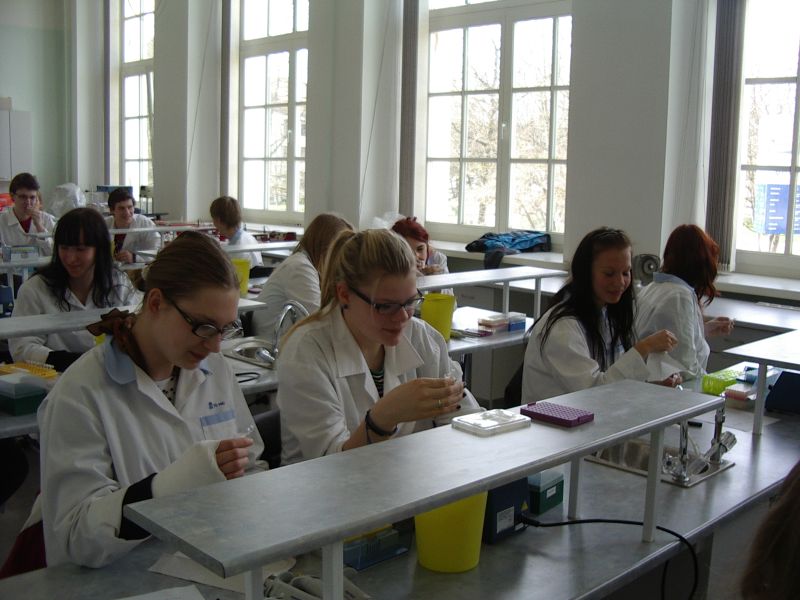 11b_bioteh20112012TY021.jpg