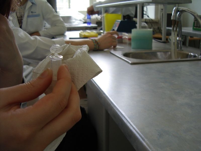 11b_bioteh20112012TY022.jpg