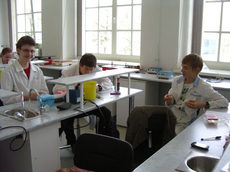 11b_bioteh20112012TY023.jpg