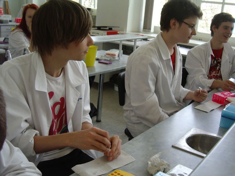11b_bioteh20112012TY024.jpg