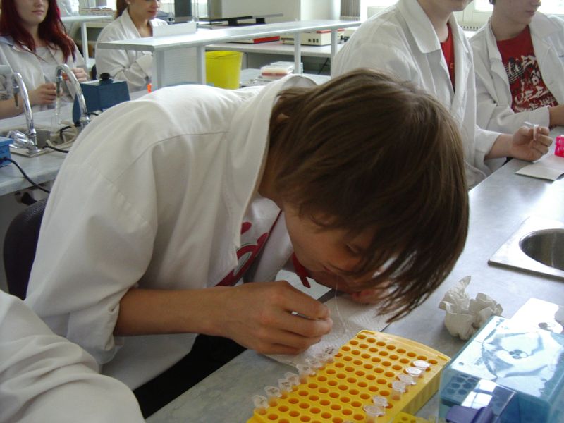 11b_bioteh20112012TY025.jpg