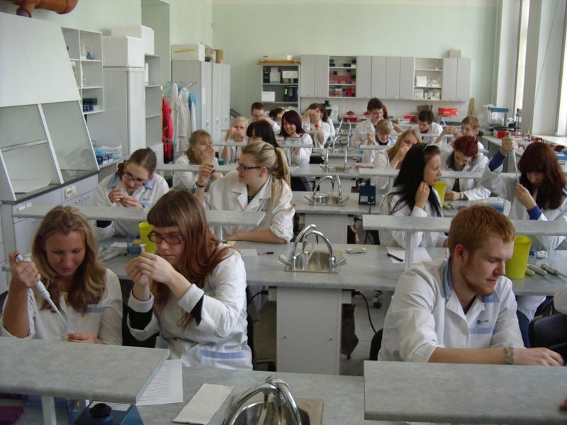 11b_bioteh20112012TY028.jpg