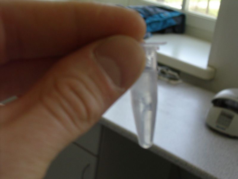 11b_bioteh20112012TY029.jpg