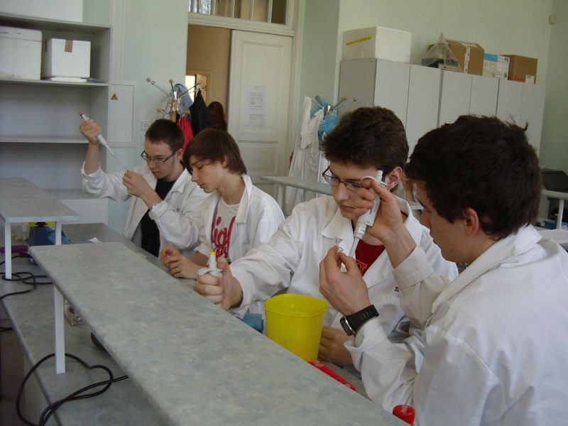 11b_bioteh20112012TY031.jpg