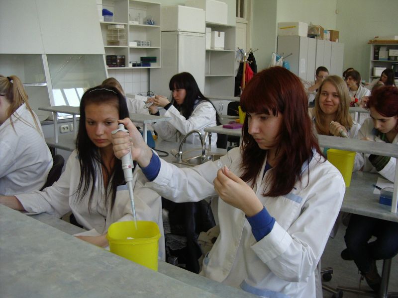 11b_bioteh20112012TY033.jpg
