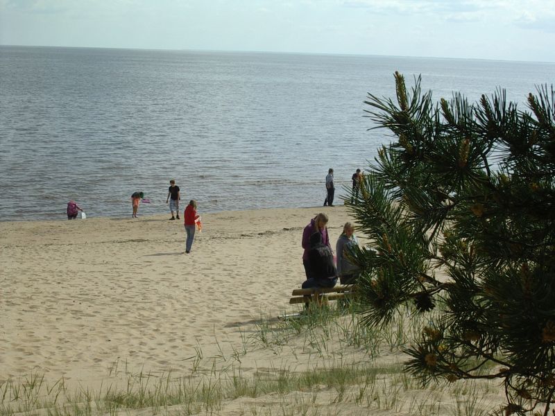 Botaanika10bKauksi004.jpg